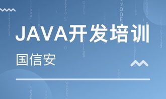 成都四川國信安職業(yè)培訓學校 河北新聞網(wǎng)推薦品牌，專注軟件外包服務