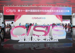 我司參加第十一屆中國國際軟件和信息服務交易會取得圓滿成功，軟件外包服務獲業界廣泛贊譽